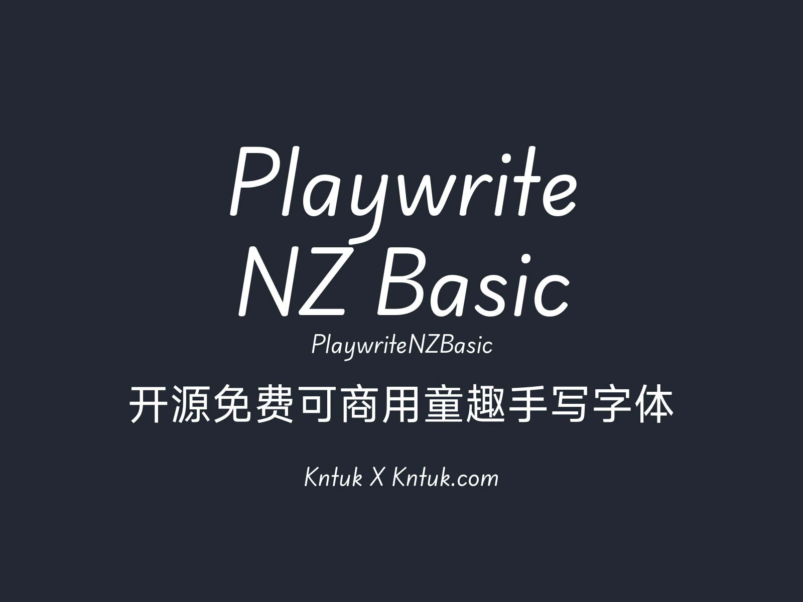 Playwrite NZ Basic