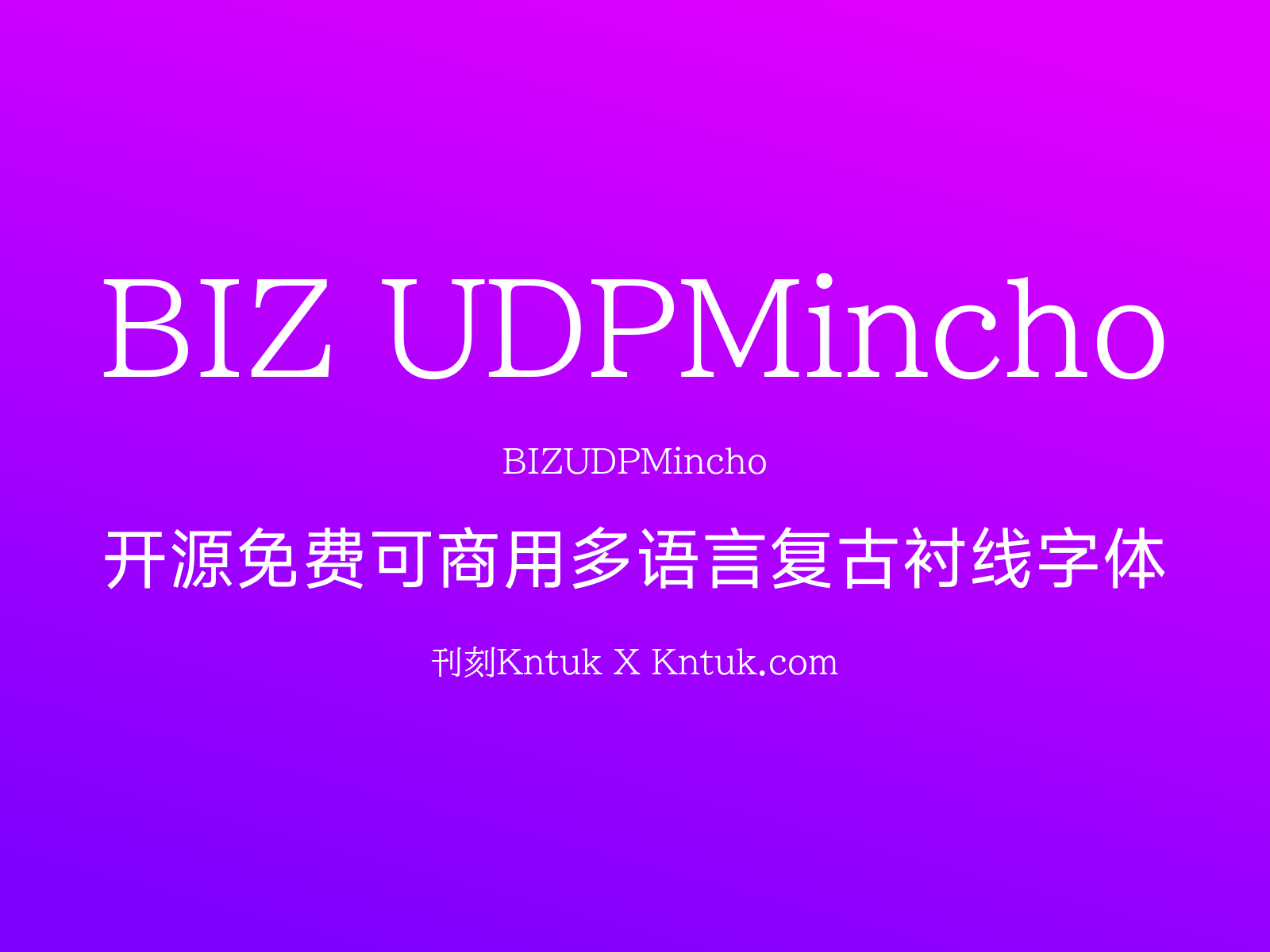 BIZ UDPMincho