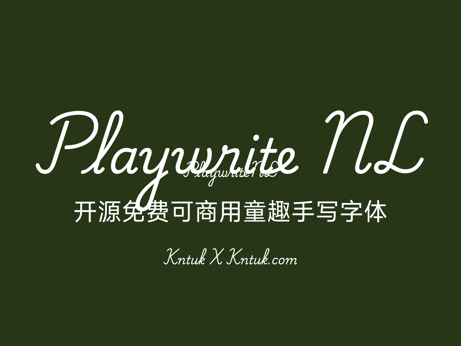 Playwrite NL