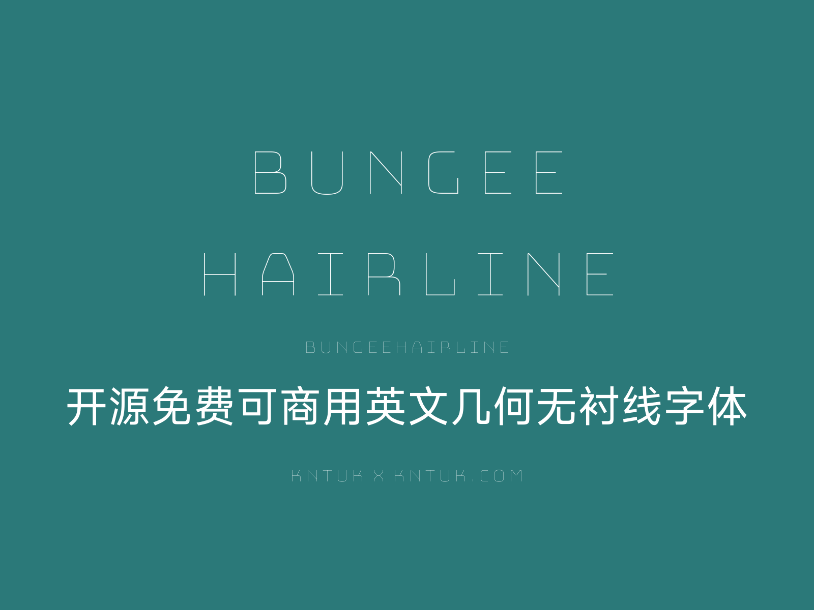 Bungee Hairline