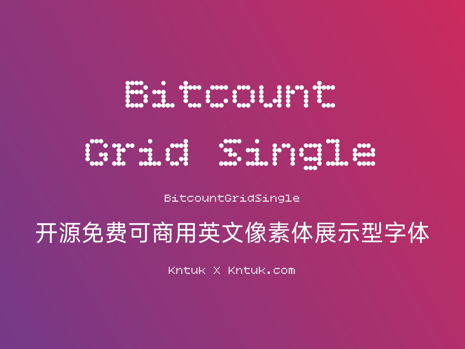 Bitcount Grid Single