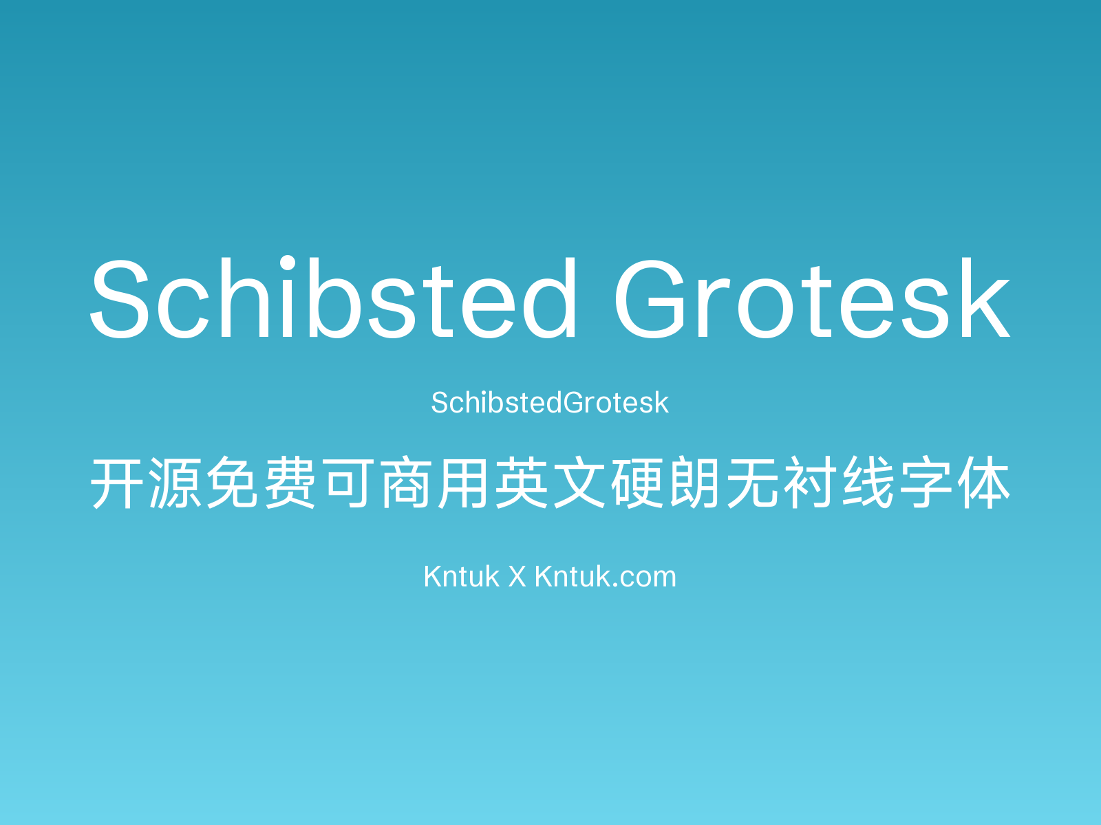 Schibsted Grotesk 开源免费可商用英文硬朗无衬线字体