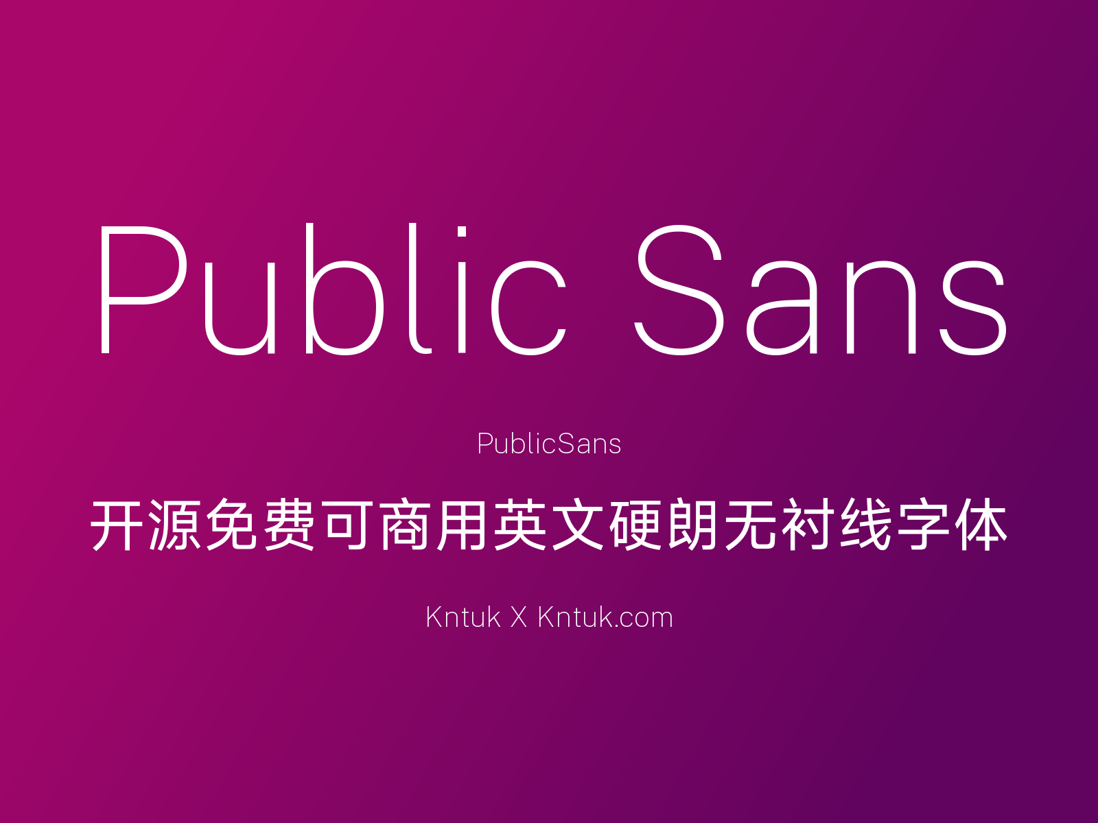 Public Sans