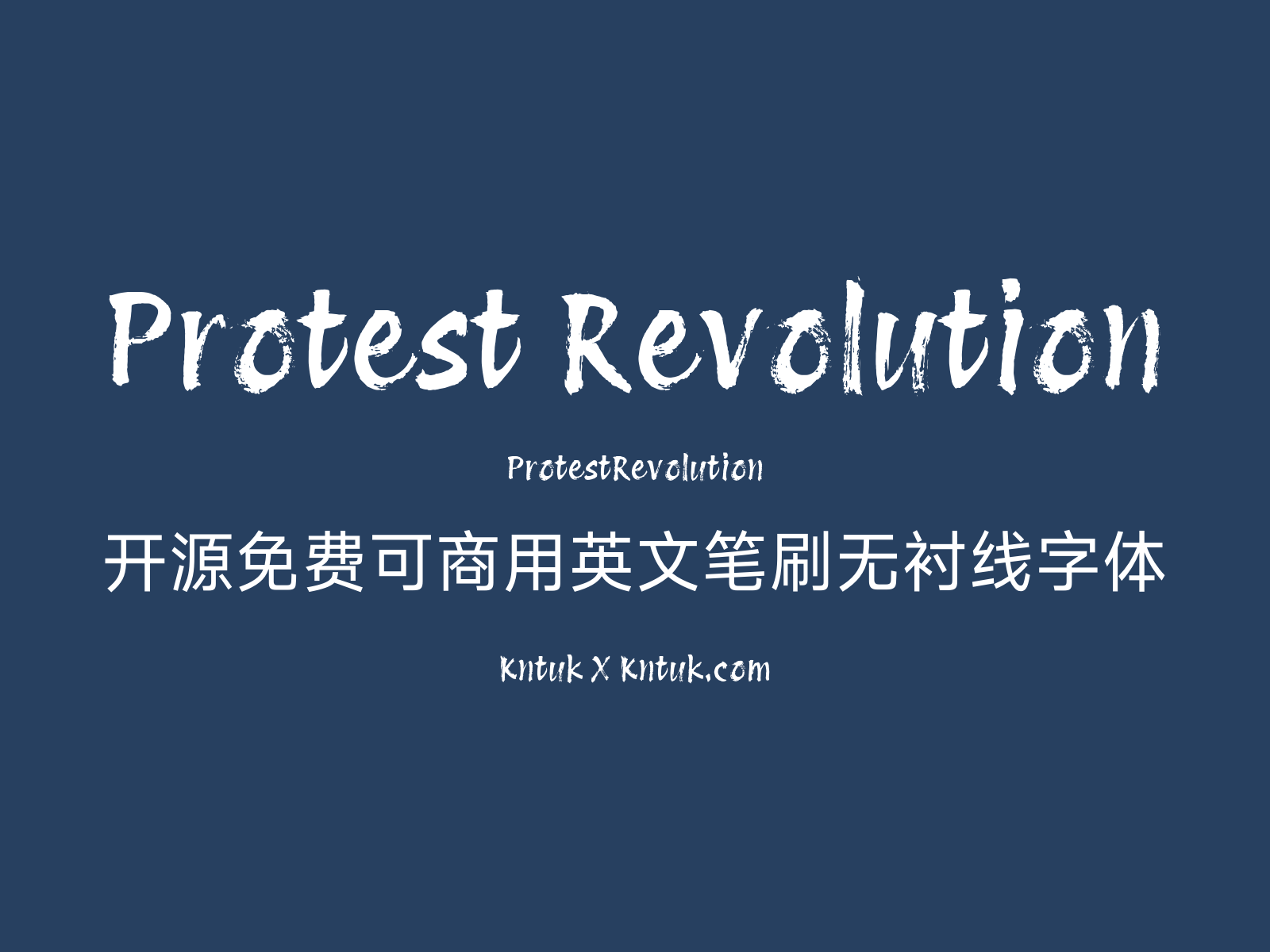 Protest Revolution