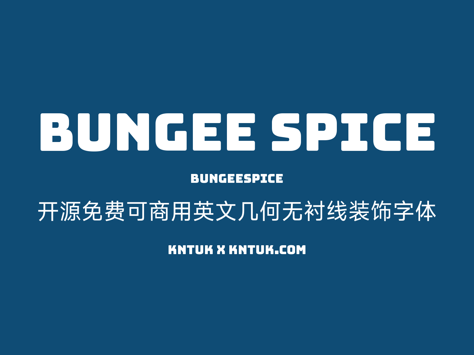 Bungee Spice