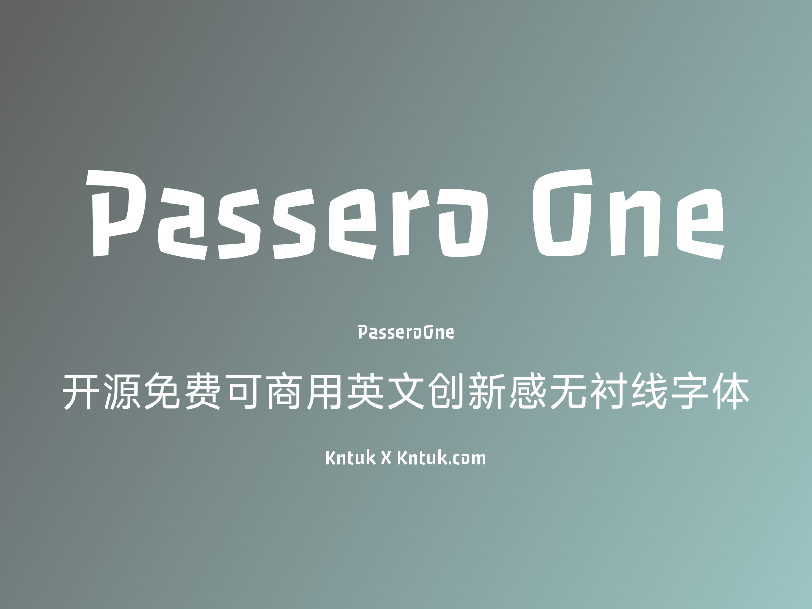 Passero One 开源免费可商用英文创新感无衬线字体