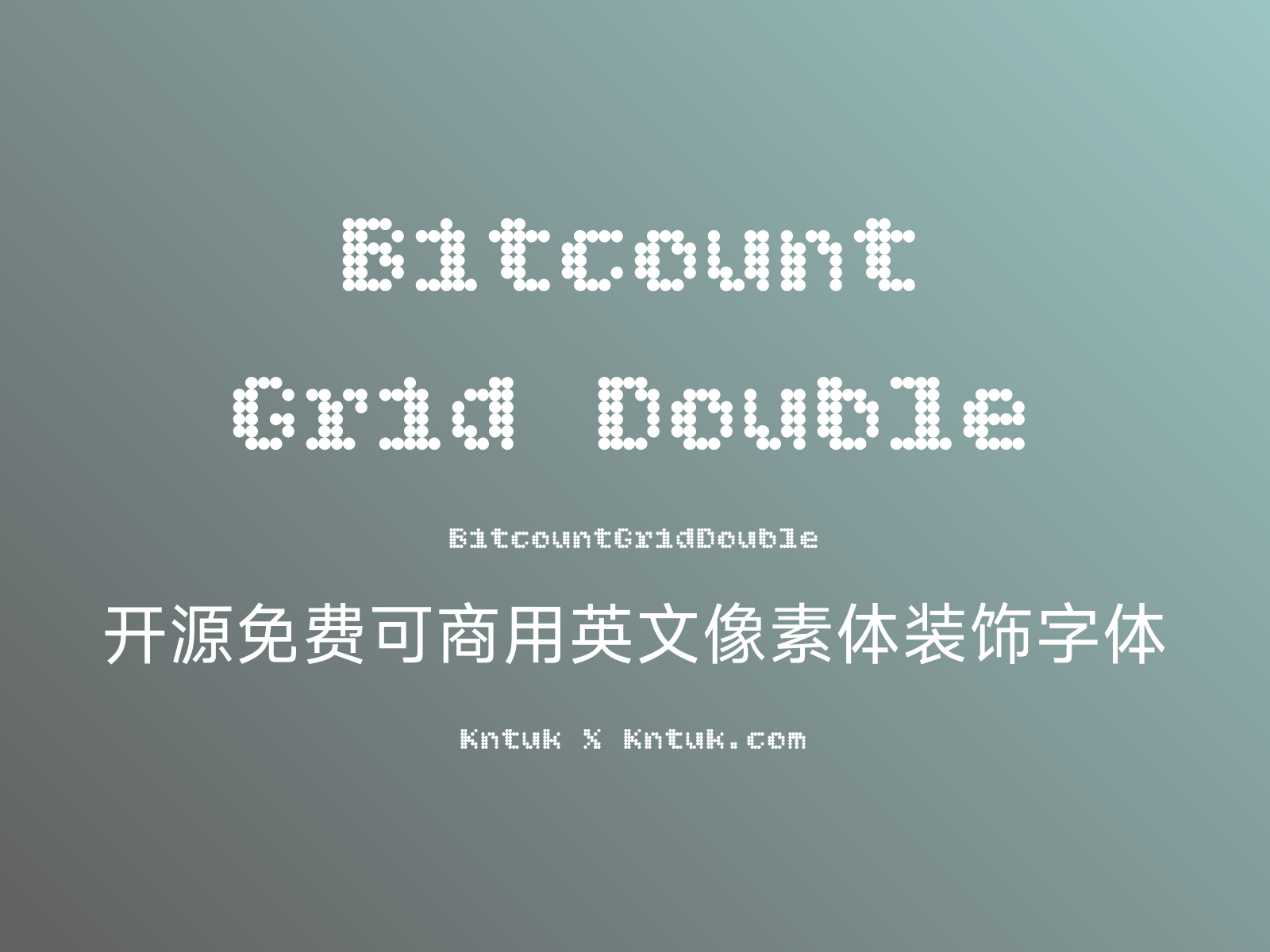 Bitcount Grid Double