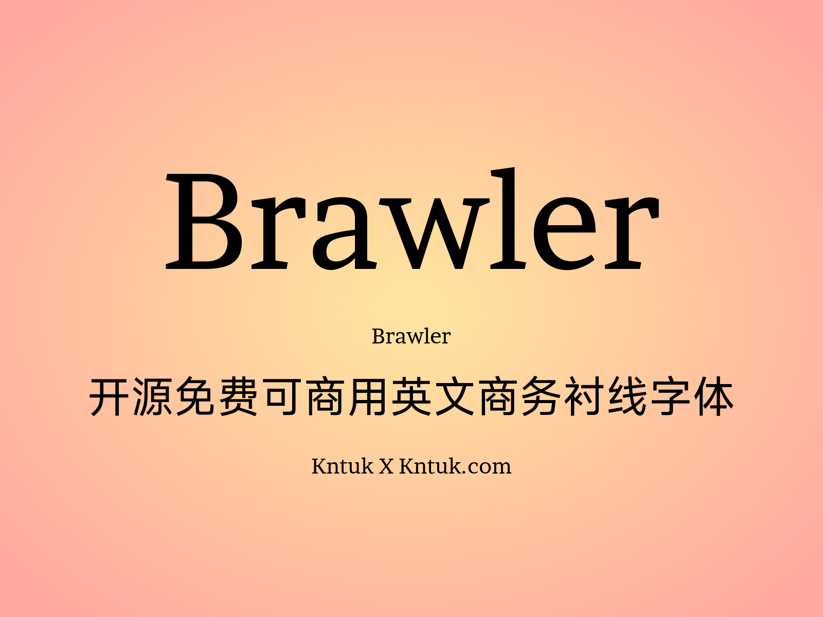 Brawler