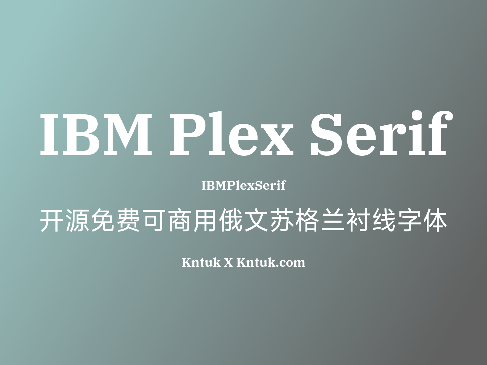 IBM Plex Serif