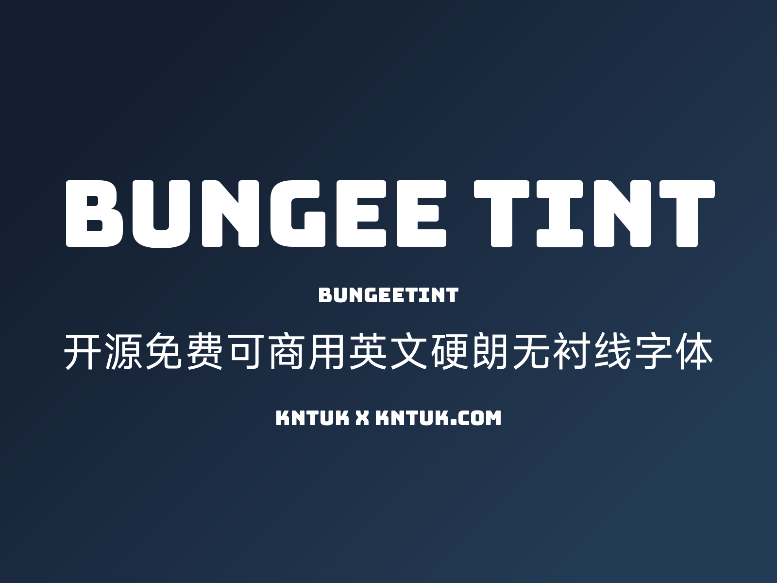 Bungee Tint