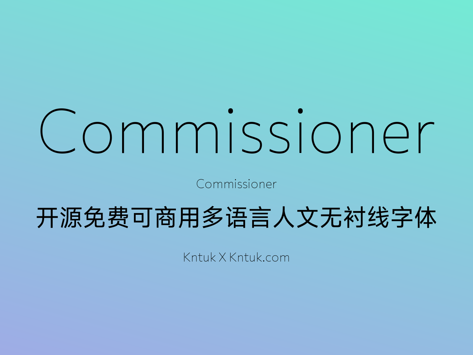 Commissioner