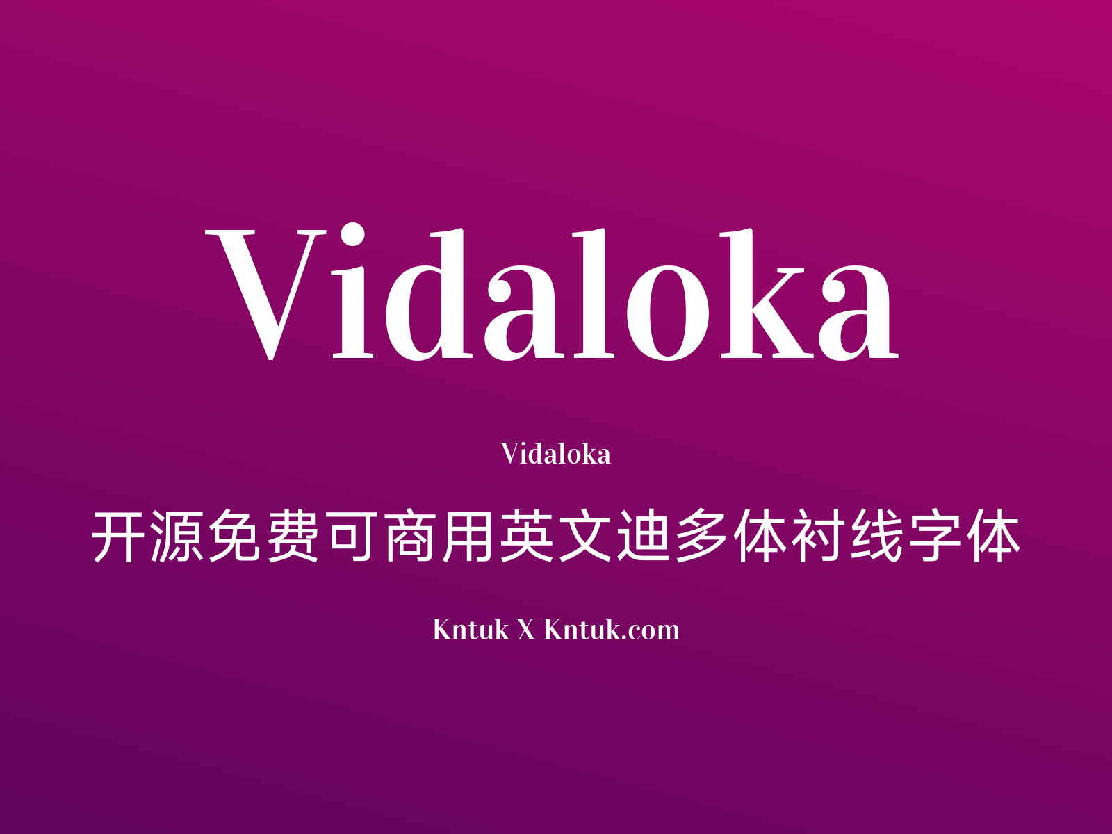 Vidaloka 开源免费可商用英文迪多体衬线字体