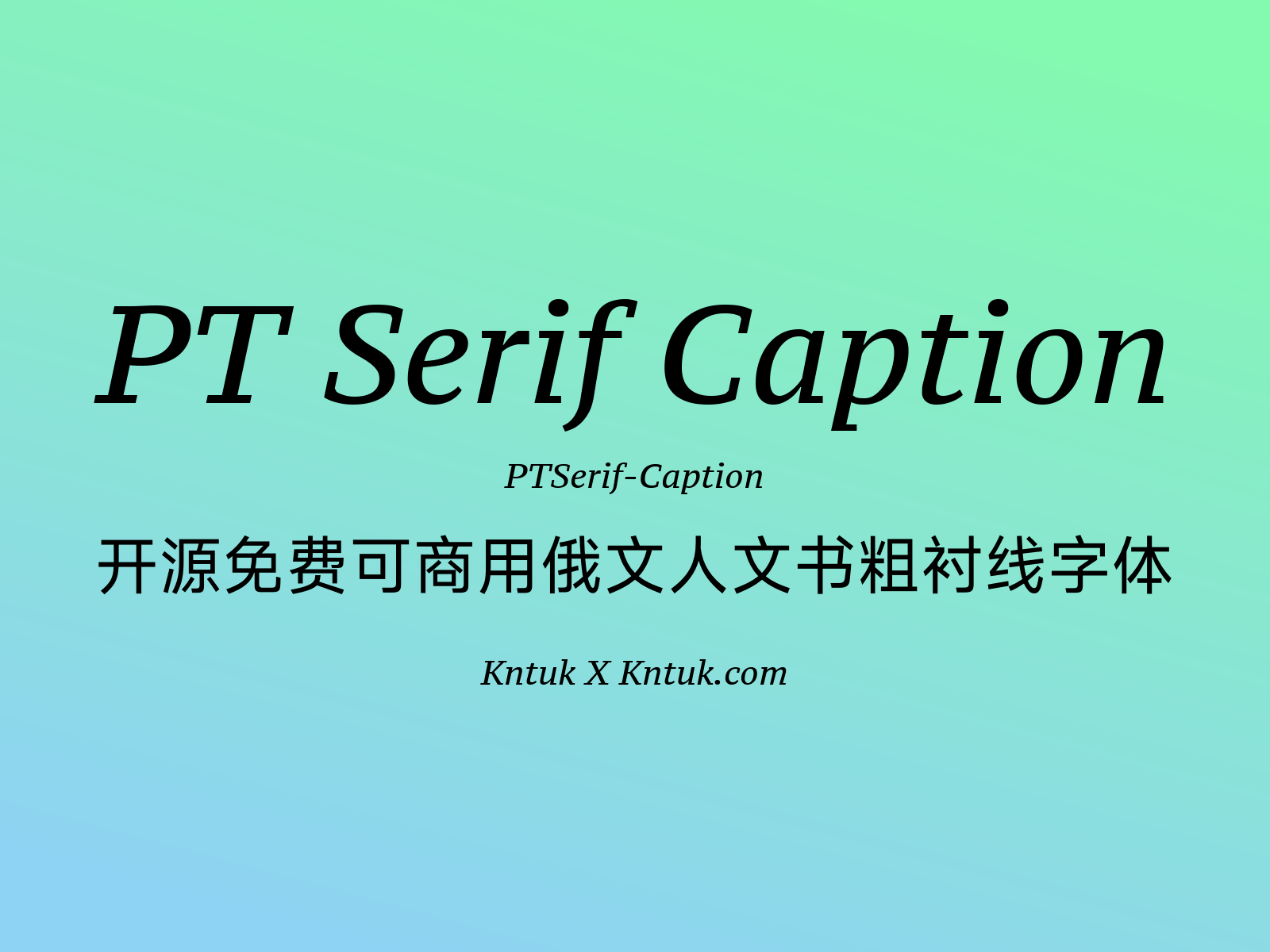 PT Serif Caption